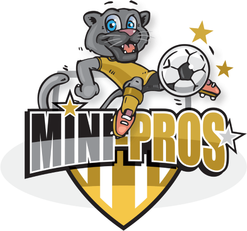 MINI-PROS Official Logo